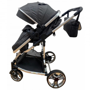 carucior 2 in 1 troller