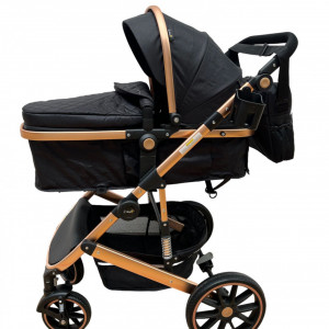 carucior 2 in 1 reversibil