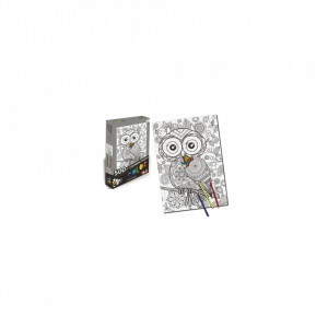 Puzzle Pictat Cu Bufnita 500 pixeli