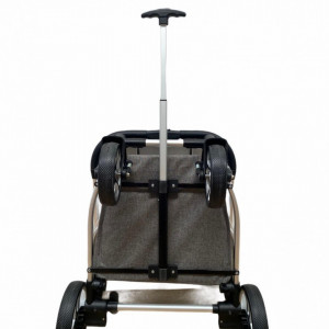 carucior 2 in 1 troller