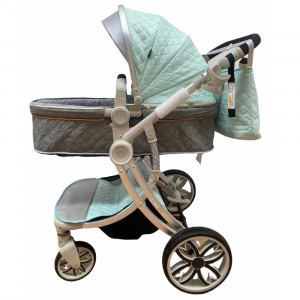 carucior 2 in 1 landou anatomic