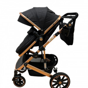 carucior 2 in 1 reversibil