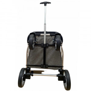 carucior 2 in 1 troller