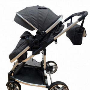 carucior 2 in 1 troller