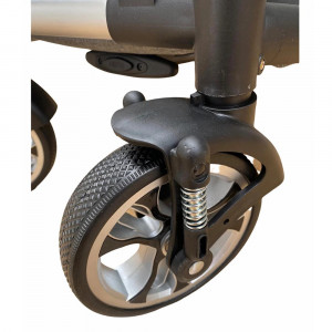 carucior 2 in 1 troller