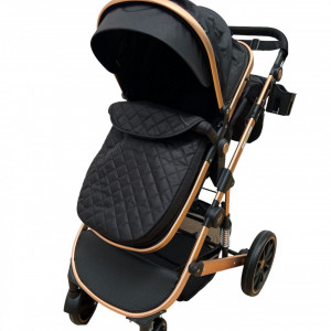 carucior 2 in 1 bebe