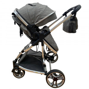 carucior 2 in 1 troller