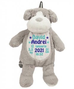 Ghiozdan plus personalizat brodat