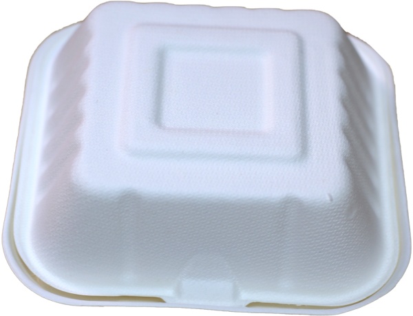 Caserole BIO de HAMBURGER simpla