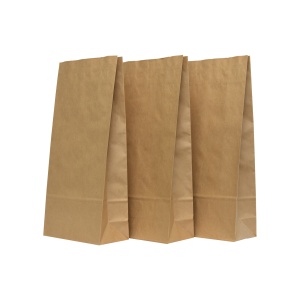 Saci hârtie doua straturi fara mâner 20x10x44,5cm (5 Kg)
