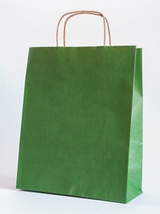 Sacoșă hârtie KNV cu mâner răsucit, VERDE 32x12x41