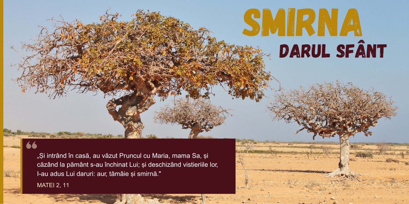 Smirna - darul sfânt