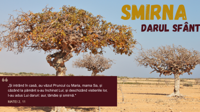 Smirna - darul sfânt