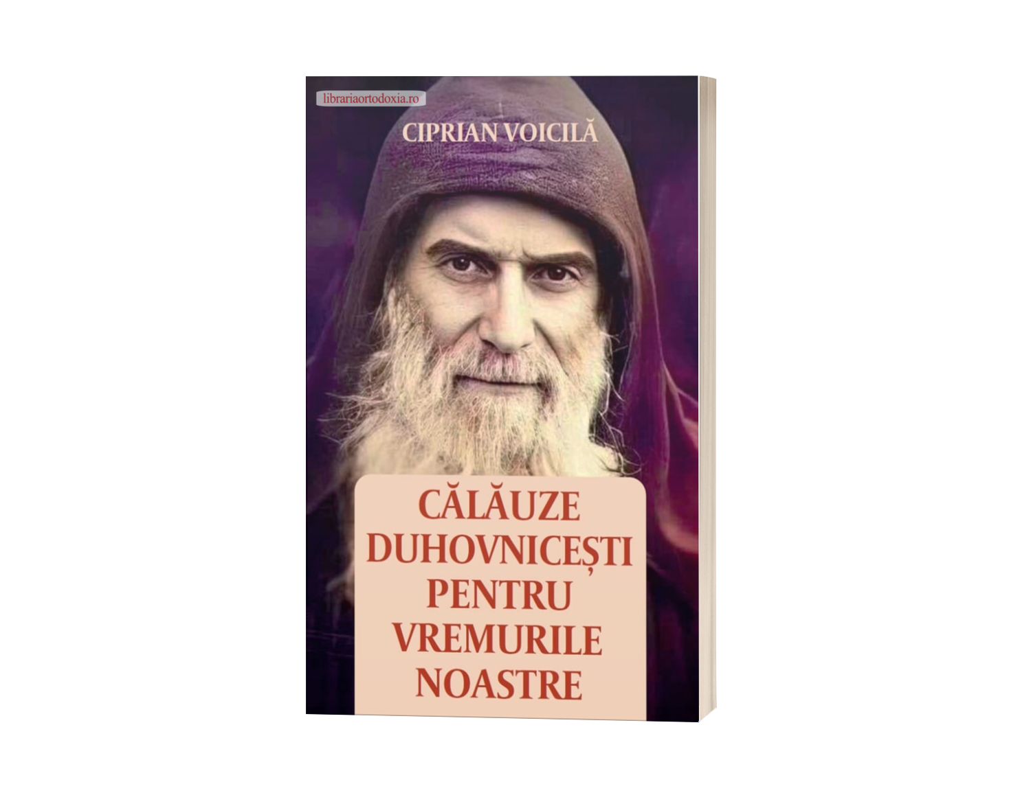 Călăuze duhovnicești pentru vremurile noastre – de Ciprian Voicilă