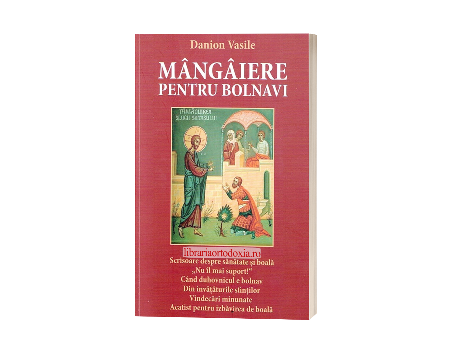 Mangaiere pentru bolnavi - de Danion Vasile