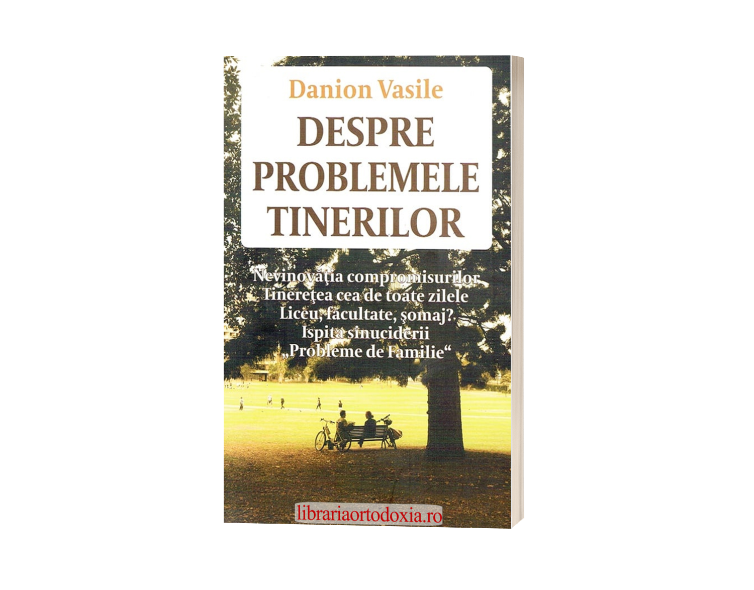 Despre problemele tinerilor - de Danion Vasile