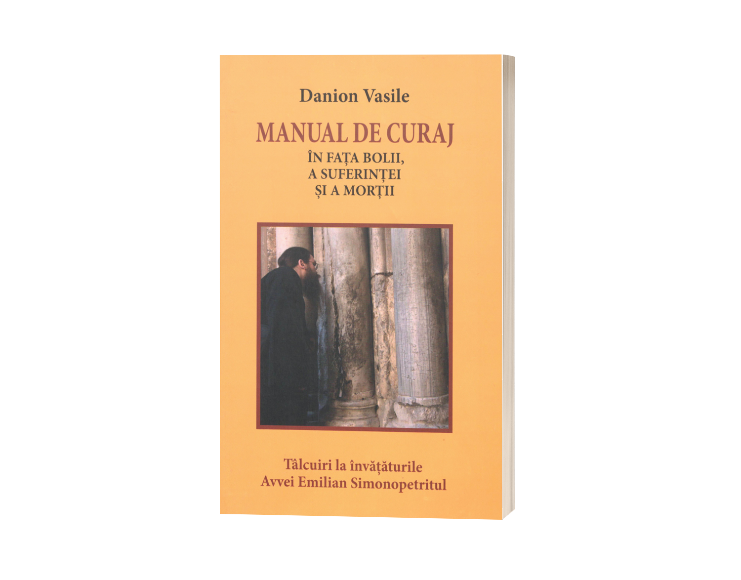 Manual de curaj în fața bolii, a suferinței și a morții - Danion Vasile