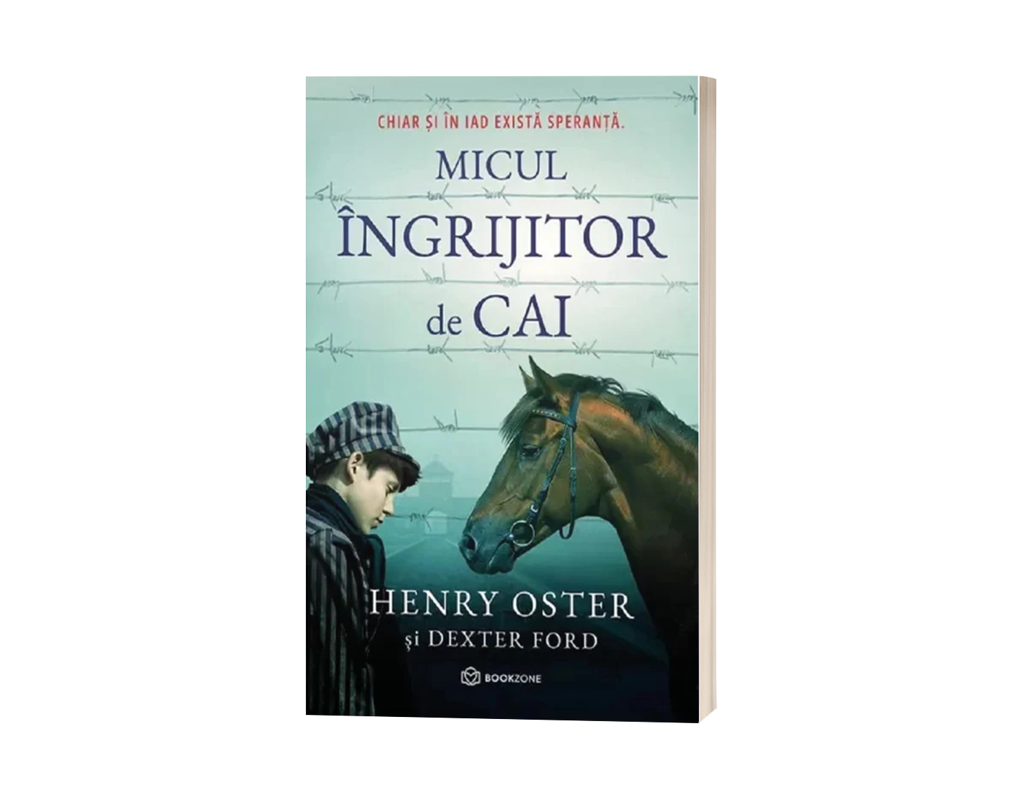 Micul îngrijitor de cai. Chiar și în Iad există speranță - de Henry Oster și Dexter Ford