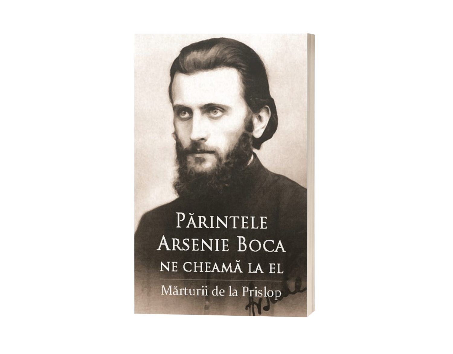 Părintele Arsenie Boca ne cheamă la el - Mărturii de la Prislop