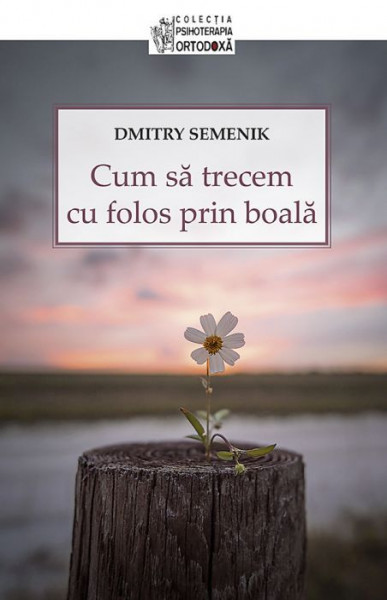 Cum sa trecem cu folos prin boala - Dmitry Semenik