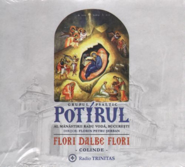 CD - Flori dalbe flori