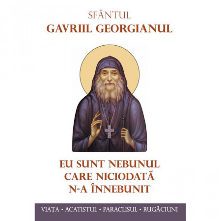 Eu sunt nebunul care niciodată n‑a înnebunit - Sfantul Gavriil Georgianul