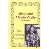 Minunatul Parinte Vitalie (Georgianul). Viata. Nevointele. Harismele