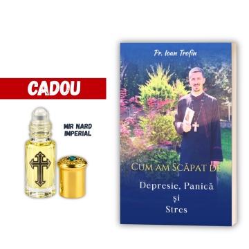Cum am scapat de depresie, panica si stres - de Pr. Ioan Trofin