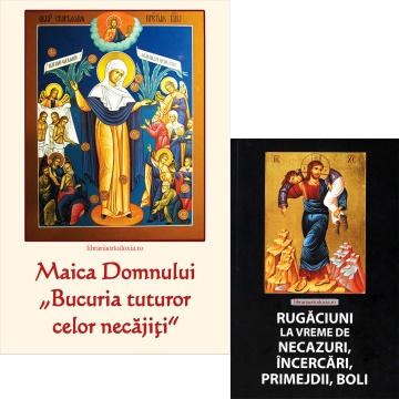 Pachet promoțional: Maica Domnului "Bucuria celor necajiti" + Rugaciuni la vreme de necaz