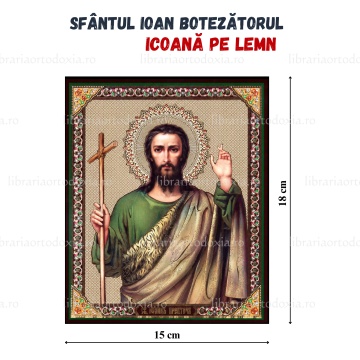 Icoana pe lemn Sfantul Ioan Botezatorul
