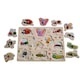Puzzle de lemn Incastru din lemn cu Insecte in limba romana, 10 piese