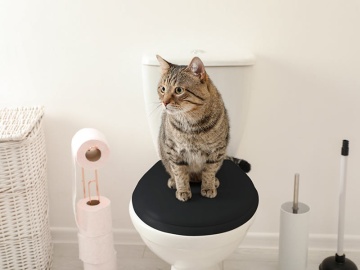 WC SEATS Capac WC din duroplast, negru cu balamale plastic intarite - WC/BLACK- Ferro - Img 2