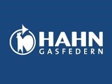 Hahn Gasfedern Germany