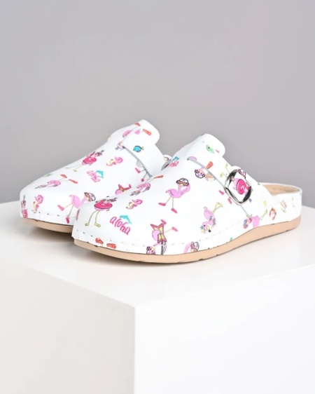 Anatomske klompe sa flamingosima, slika 6