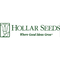 Hollar seeds