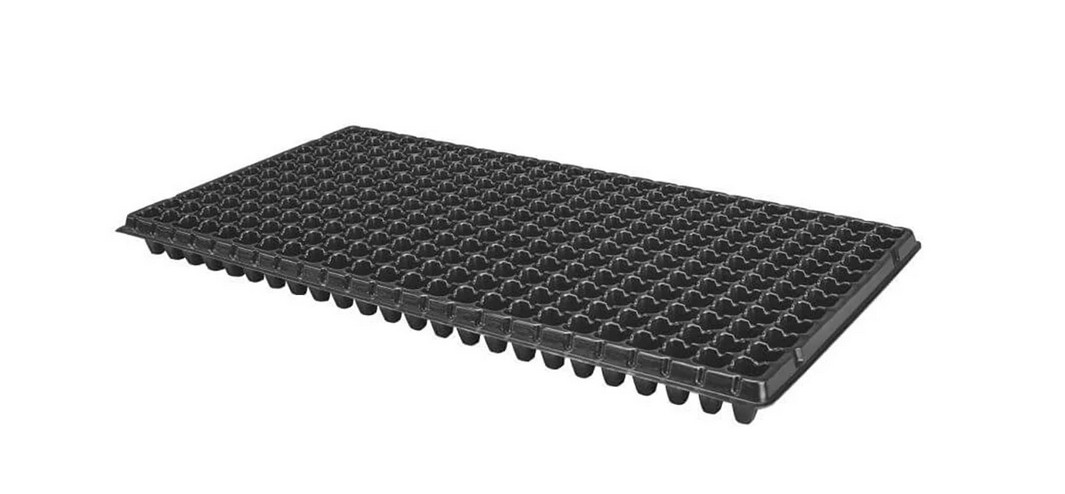 alveole-406-celule