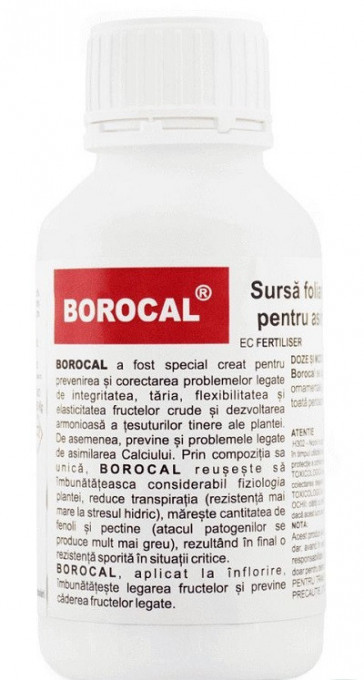 Borocal 100 ml