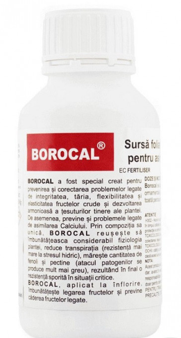 Borocal 250 ml