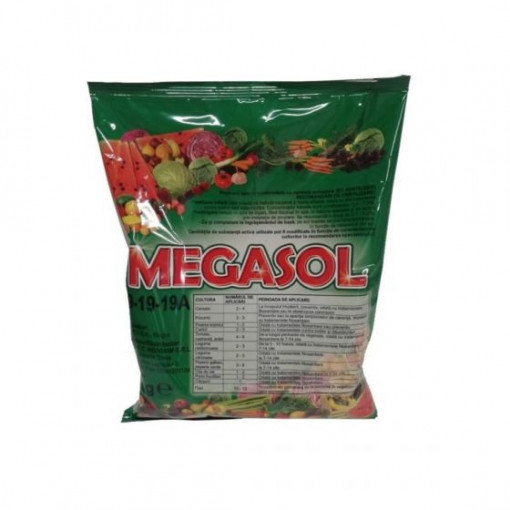 Megasol 19-19-19 100 gr