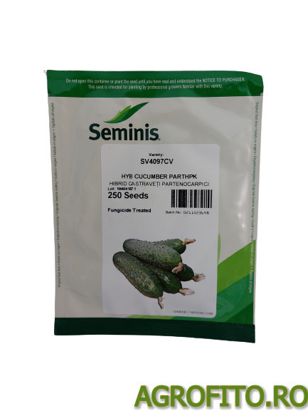 Castraveti Madrilene F1 250 sem