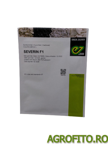 Castraveti severin F1 500 sem