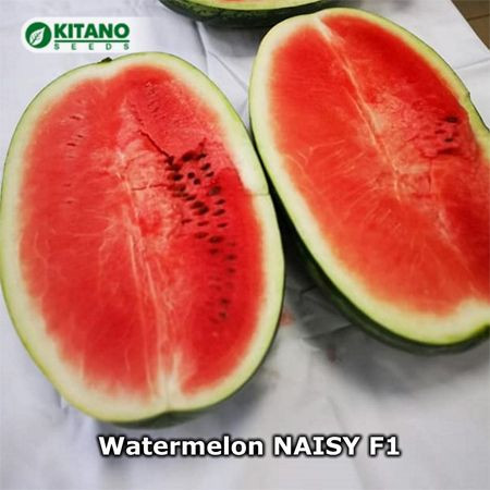 Pepene Naisy F1 50 sem
