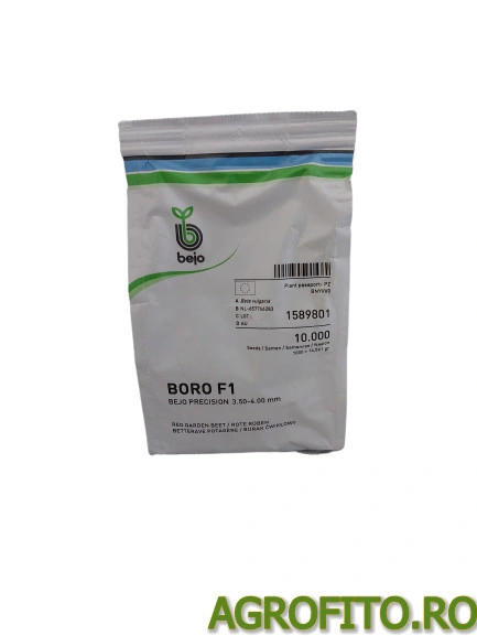 Sfecla Boro F1 10.000 sem - Img 2