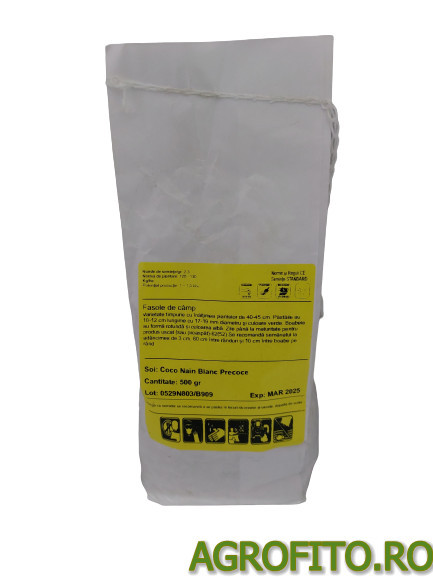 Fasole Coco nain blanc 1 kg