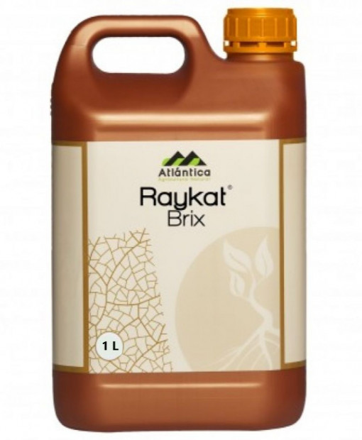 Raykat Brix 1L