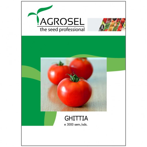 Tomate Ghittia 3000 sem