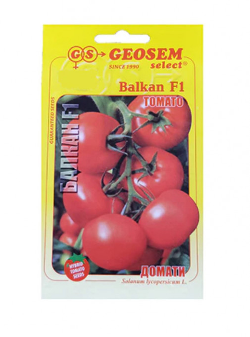 Tomate Balkan F1 1000 sem