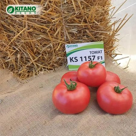 Tomate Honoka F1 200 sem