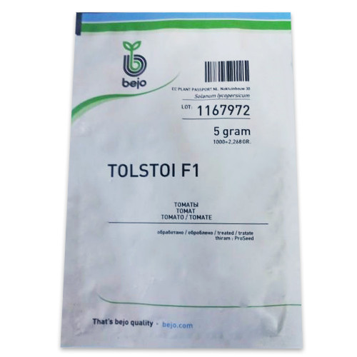Tomate Tolstoi 1000 sem