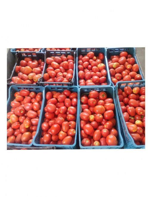 Tomate Pink Soul F1 500 sem redus - Img 2